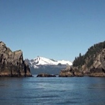 Screen Shot 2016-07-11 at 11.43.50 AM.jpg